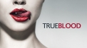 True Blood - free tv online from 
